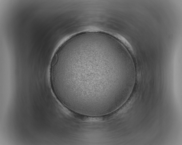 X0000110891183200906251311