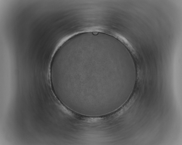 X0000110891184200906251311