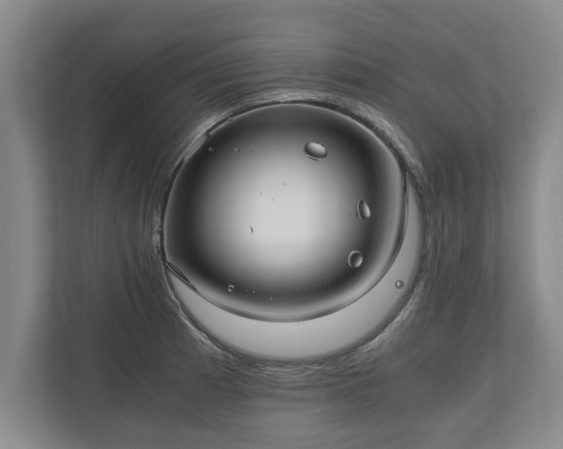 X0000110891185200906251311