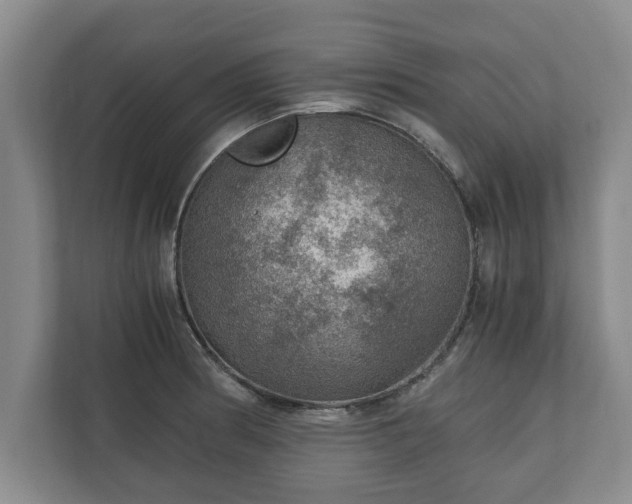 X0000110891186200906251311
