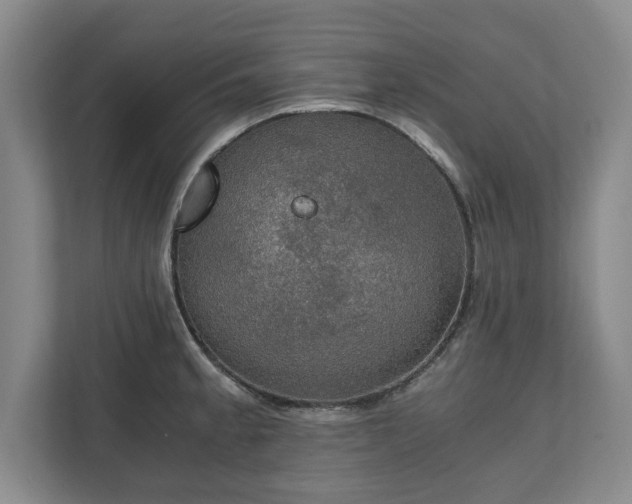 X0000110891189200906251311