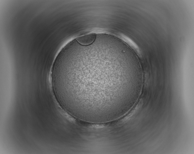X0000110891190200906251311