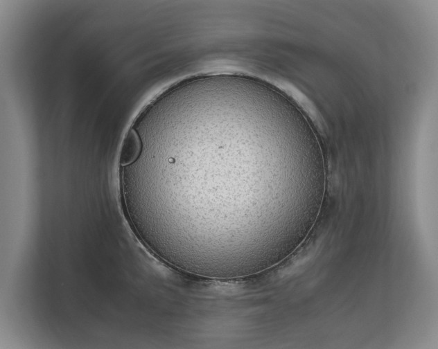 X0000110891191200906251311