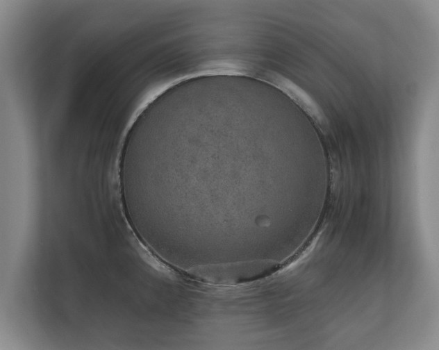 X0000110891192200906251311