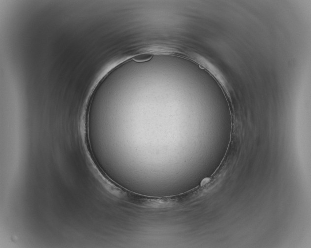 X0000110891195200906251311