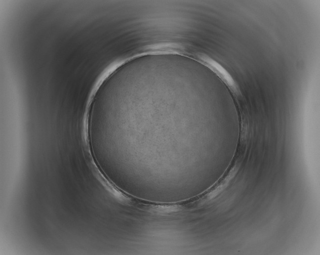 X0000110891196200906251311