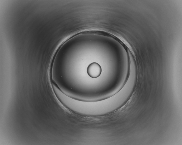 X0000110891197200906251311