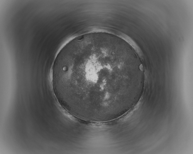 X0000110891198200906251311