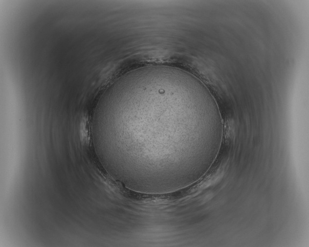 X0000110891202200906251310