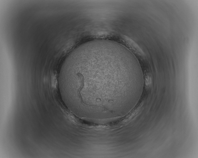 X0000110891204200906251310