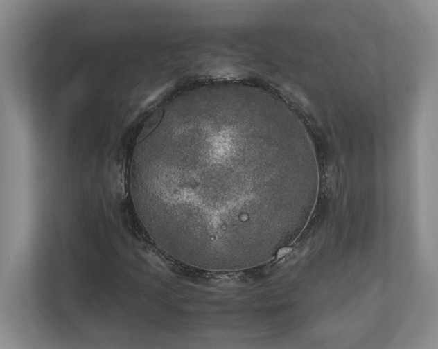 X0000110891205200906251310
