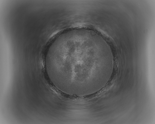 X0000110891206200906251310