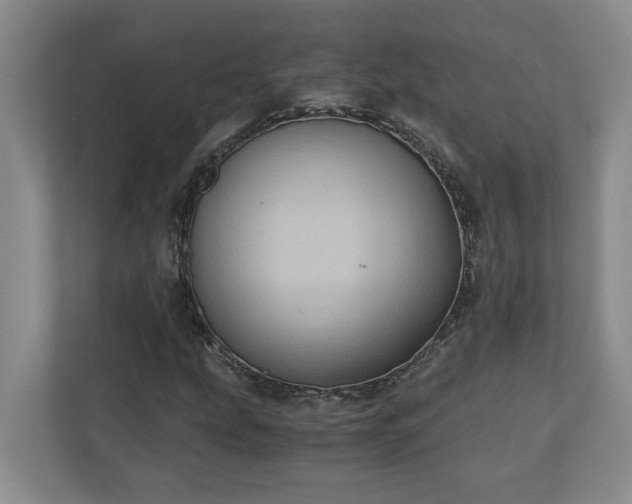 X0000110891207200906251310