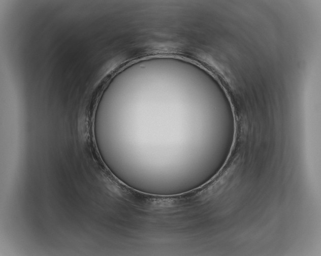 X0000110891211200906251310
