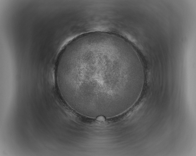 X0000110891214200906251310