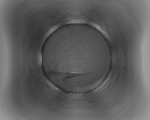 X0000110891221200906251311