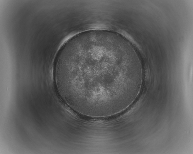 X0000110891222200906251311