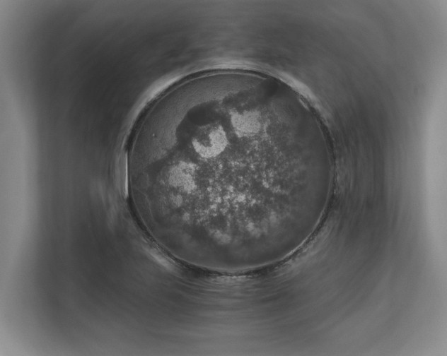 X0000110891223200906251311
