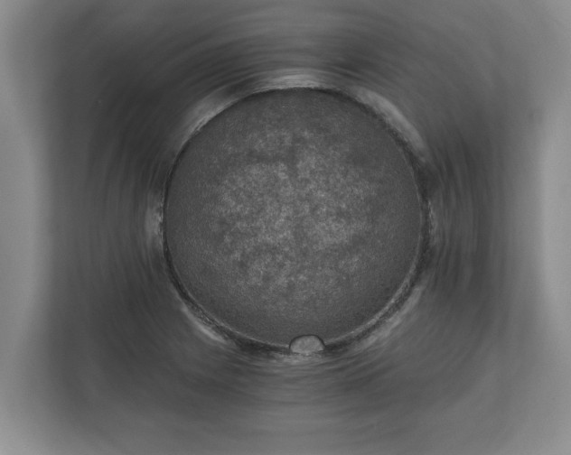 X0000110891225200906251311