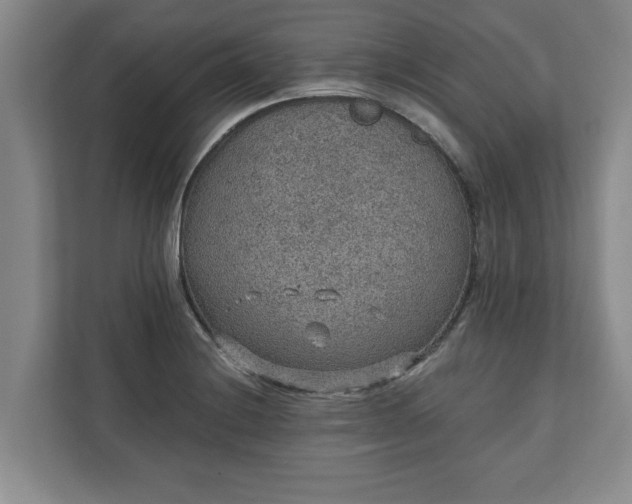 X0000110891228200906251311