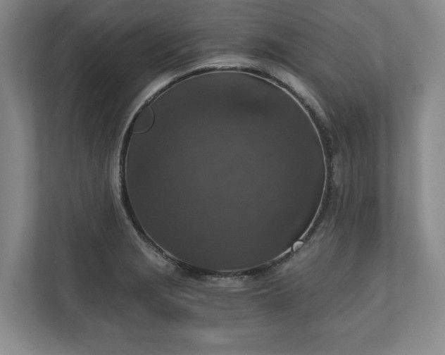 X0000110891229200906251311