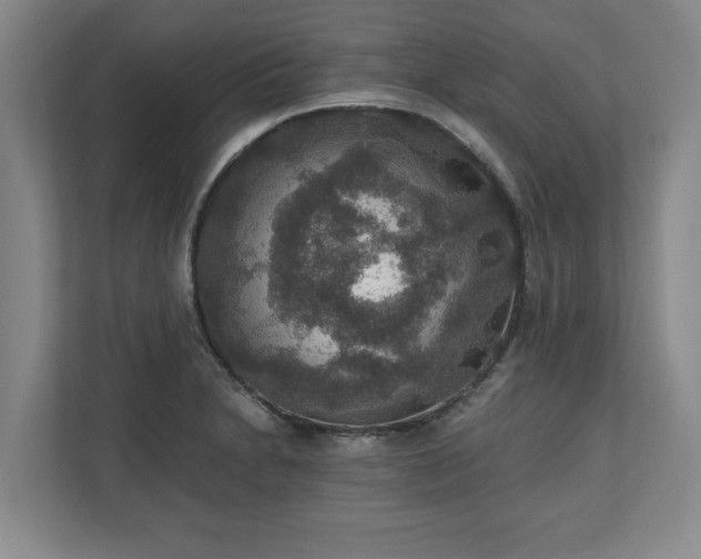 X0000110891230200906251311