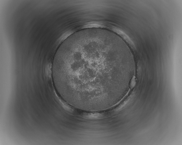 X0000110891233200906251311
