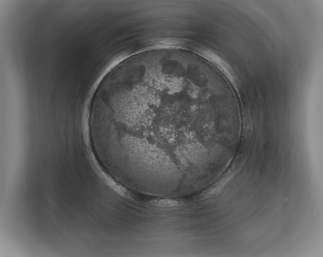 X0000110891235200906251311