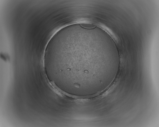 X0000110891236200906251311