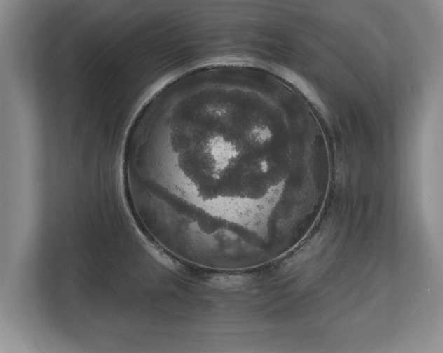 X0000110891237200906251311