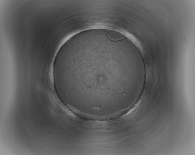 X0000110891238200906251311