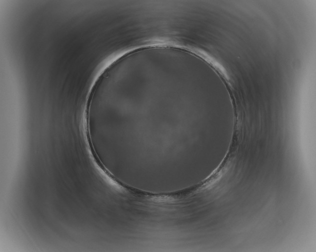 X0000110891239200906251311