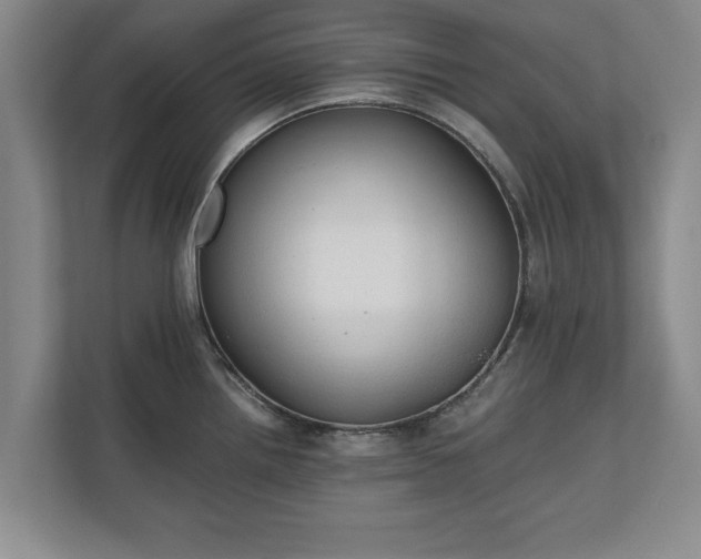 X0000110891242200906251311
