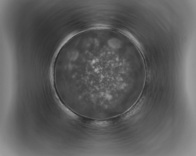 X0000110891243200906251311