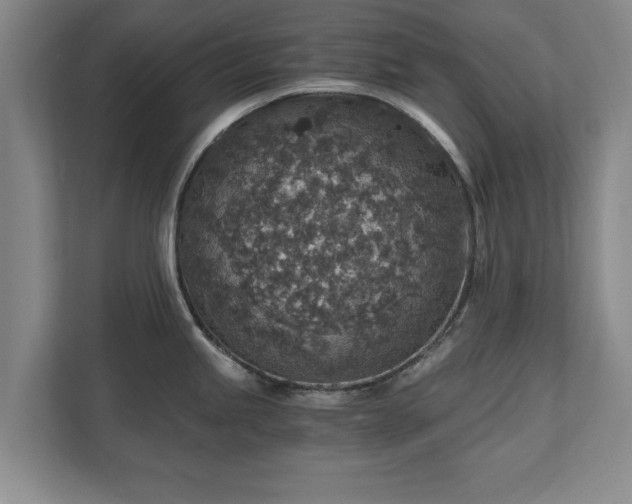 X0000110891245200906251311