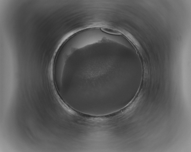 X0000110891246200906251311