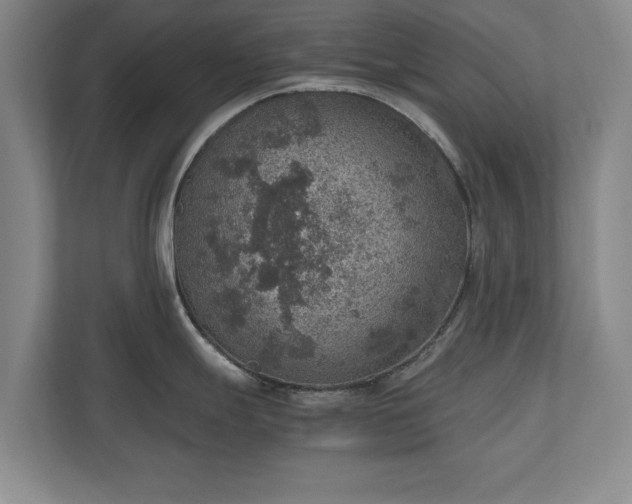 X0000110891247200906251311