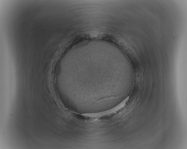 X0000110891249200906251310