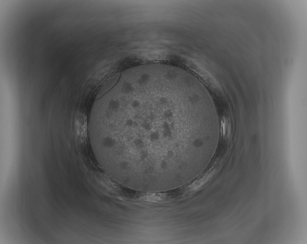X0000110891251200906251310