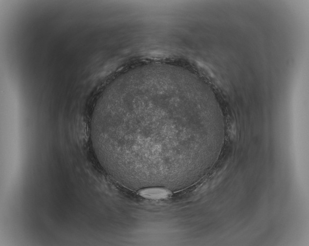 X0000110891253200906251310