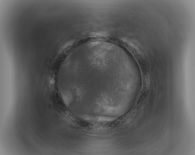 X0000110891254200906251310