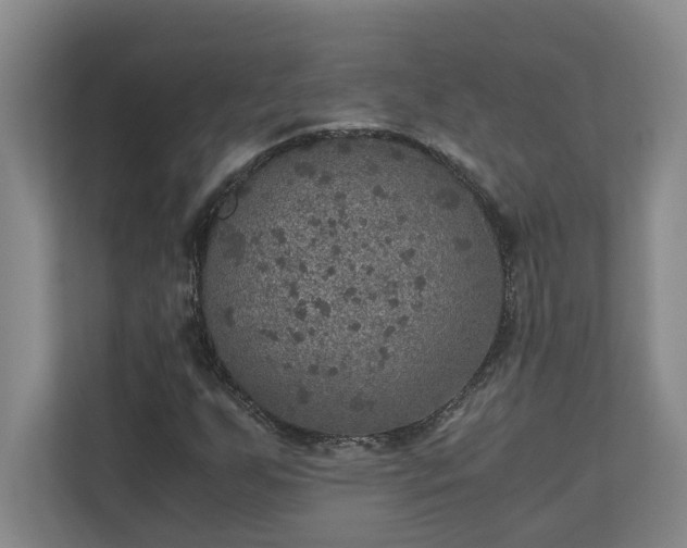 X0000110891255200906251310