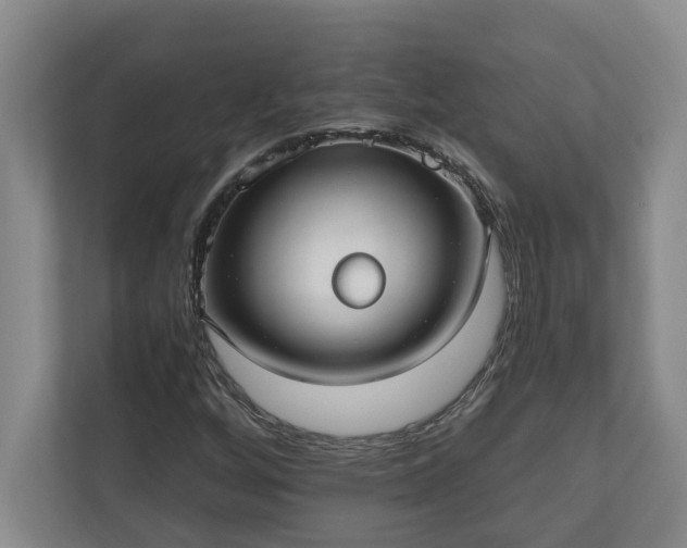X0000110891256200906251310