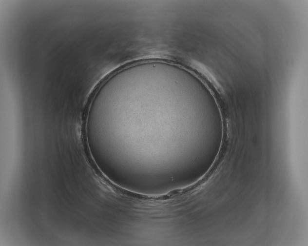 X0000110891260200906251310