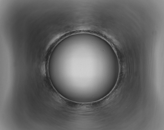 X0000110891262200906251310
