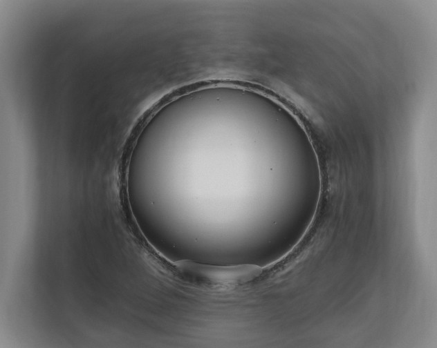 X0000110891264200906251310