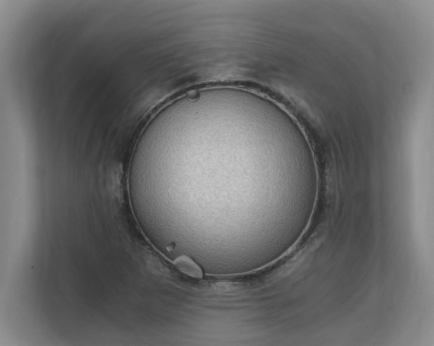 X0000110891265200906251310
