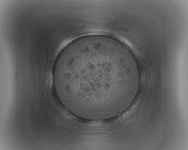X0000110891267200906251310