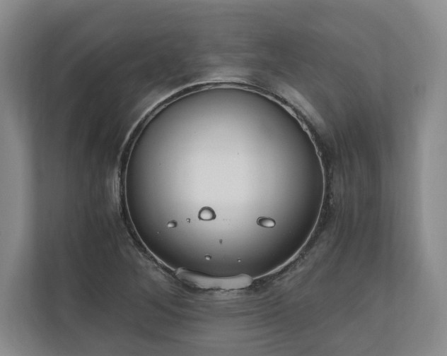 X0000110891268200906251310