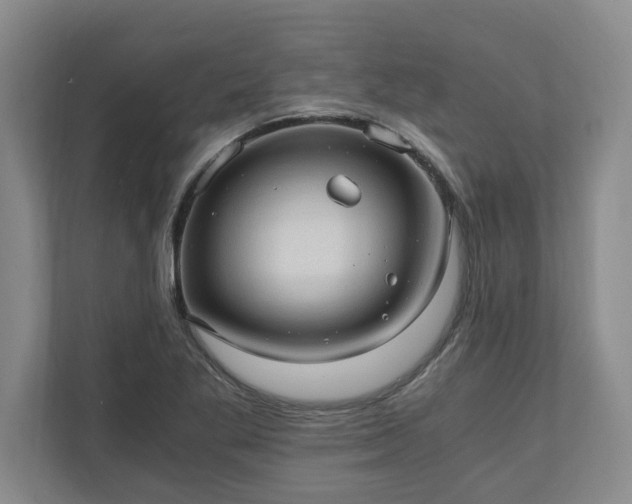 X0000110891269200906251310